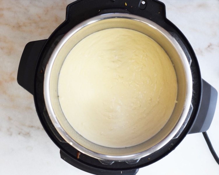 Instant Pot Pancake Recipe