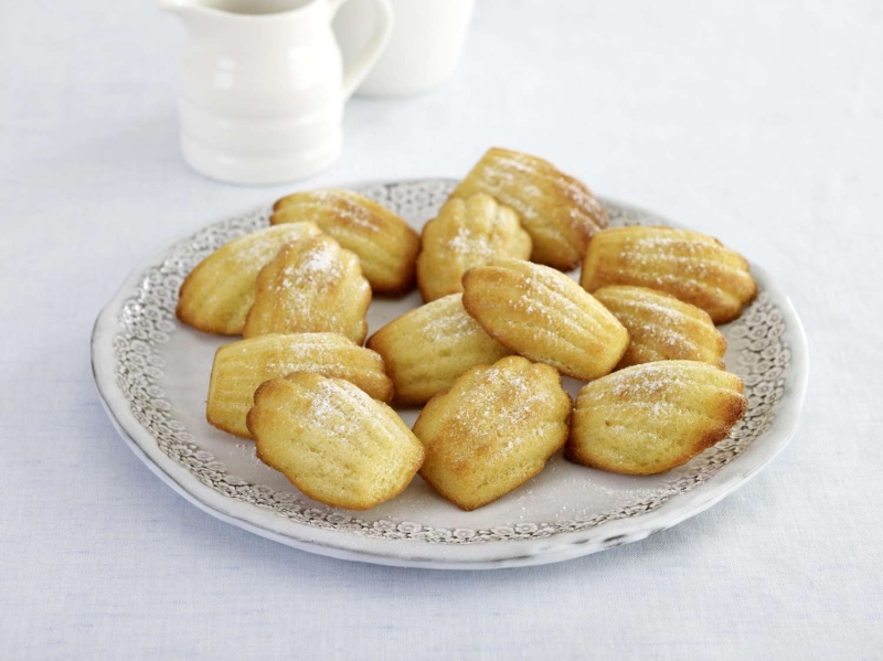 Classic French Madeleine