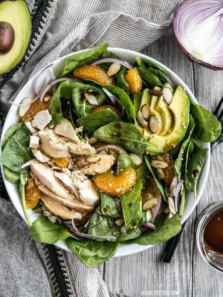 Chicken and Mandarin Salad with Simple Sesame Dressing