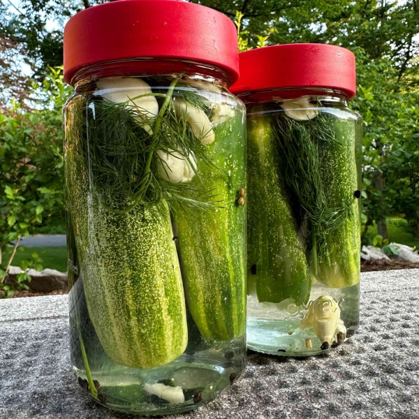 Deli-Style Half Sour Pickles