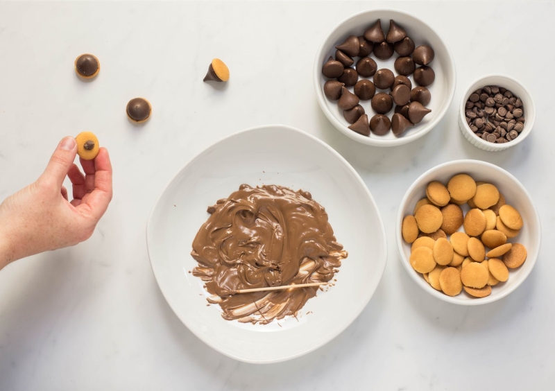 Candy Acorn Cookies Recipe