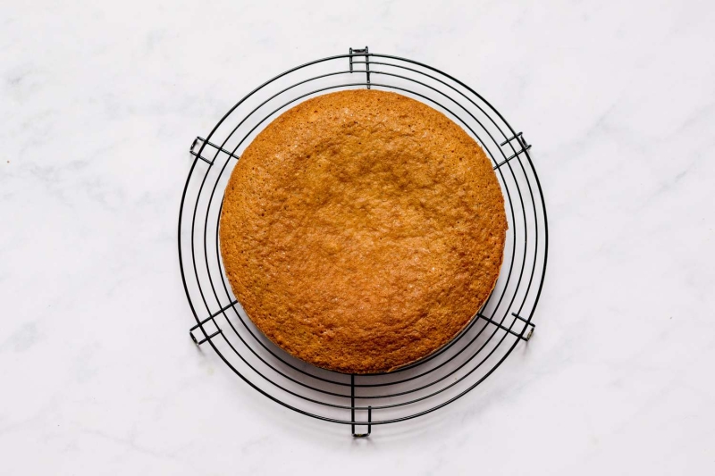 Dairy-Free Lemon Cake Recipe