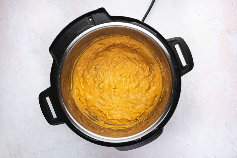 Instant Pot Buffalo Chicken Dip Recipe