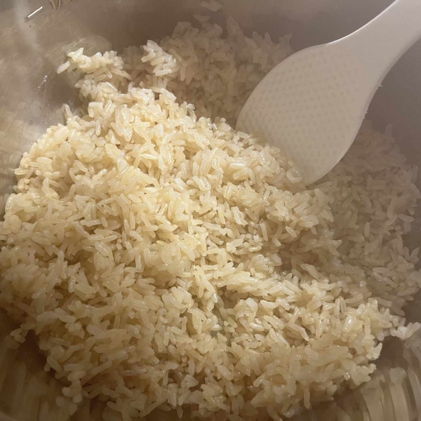 Instant Pot Brown Rice