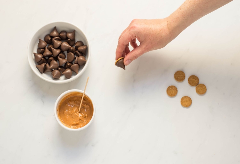 Candy Acorn Cookies Recipe