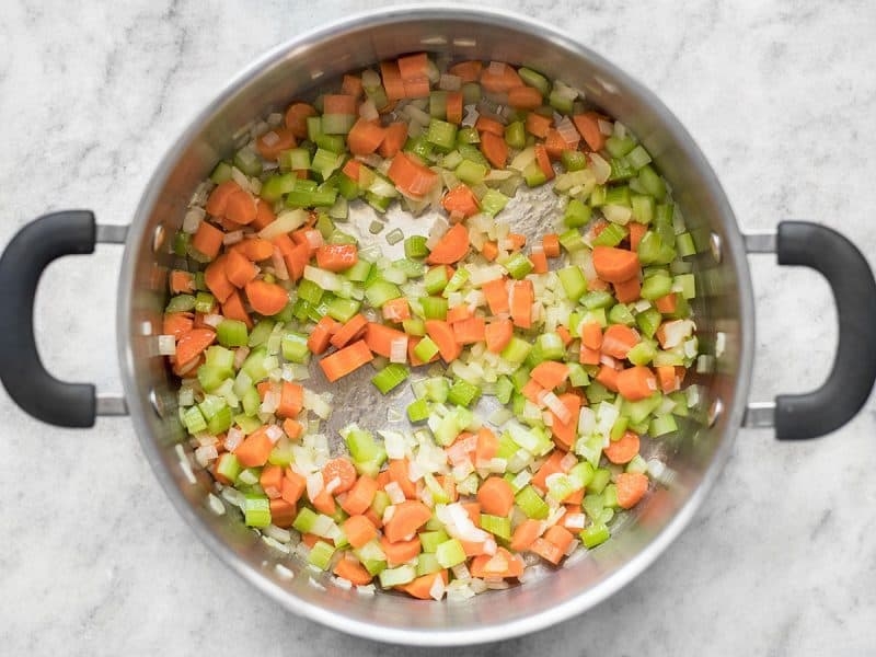 Chicken and Dumplings with Vegetables