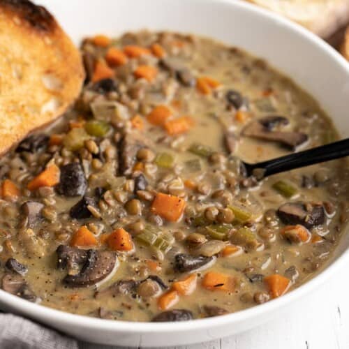 Creamy Lentil Vegetable Soup