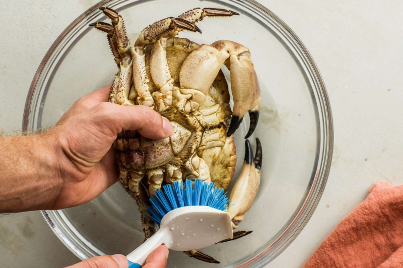 Simple Crab Salad with Mayonnaise