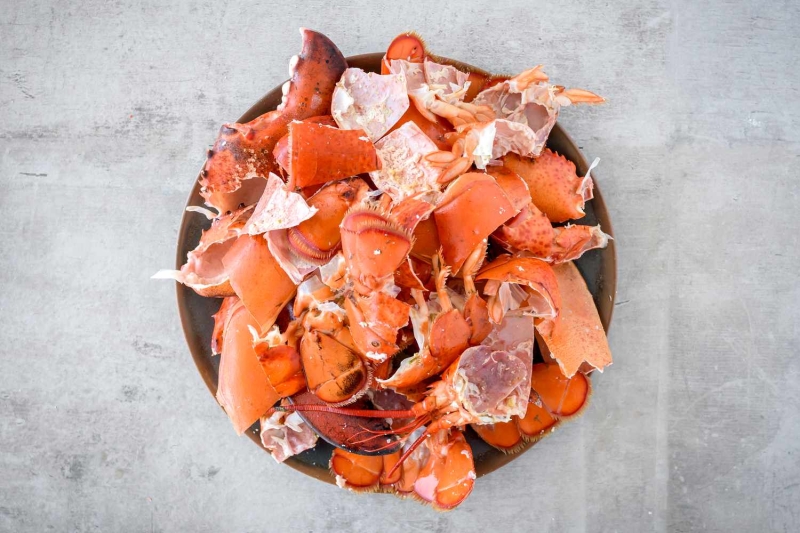 Rich and Flavorful Lobster Stock