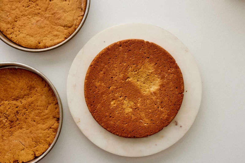 Appalachian Apple Stack Cake