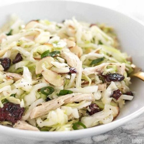 Chicken and Cranberry Salad with Lemon Poppy Seed Dressing