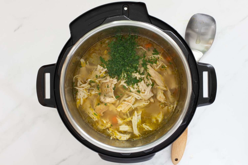 Instant Pot Chicken and Rice Soup Recipe