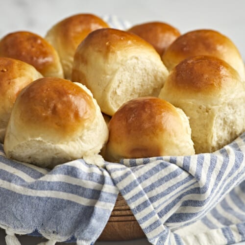 Dinner Rolls