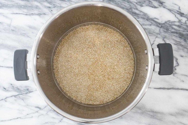 Instant Pot Quinoa Recipe